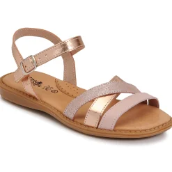 New Citrouille et Compagnie - IZOEGL Rose