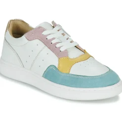 Citrouille et Compagnie - FITOS Bleuciel New