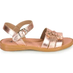 Citrouille et Compagnie - KATAGUE Bronze Best