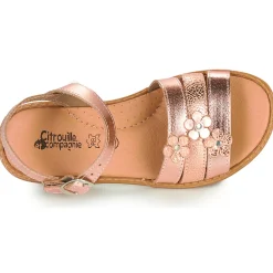 Citrouille et Compagnie - KATAGUE Bronze Best