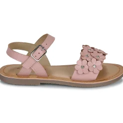 Online Citrouille et Compagnie - FLEURS Pink