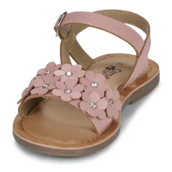 Online Citrouille et Compagnie - FLEURS Pink