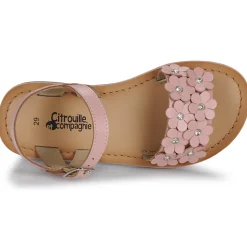 Online Citrouille et Compagnie - FLEURS Pink