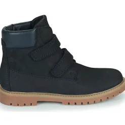 Citrouille et Compagnie - PAXA