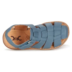 Citrouille et Compagnie - GLENO