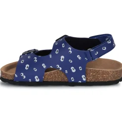 Citrouille et Compagnie - TOTIS Impriméyeuxbleu