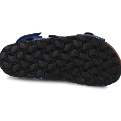 Citrouille et Compagnie - TOTIS Impriméyeuxbleu