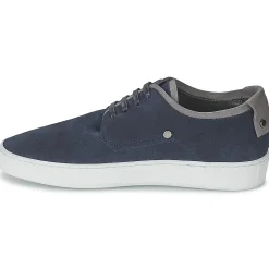 Outlet CK Collection - CUSTO Bleu