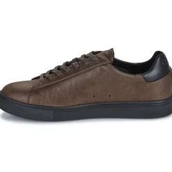 Clearance Clae - BRADLEY Marron