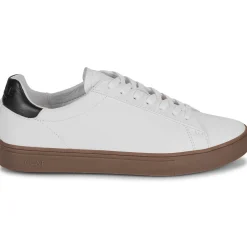 Clearance Clae - BRADLEY