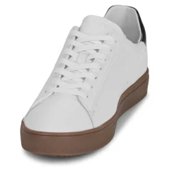 Clearance Clae - BRADLEY