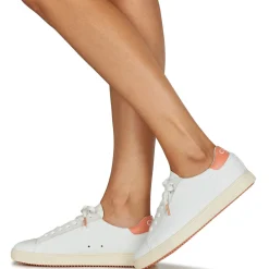 Best Clae - BRADLEY CALIFORNIA