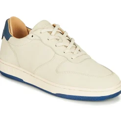 Online Clae - MALONE