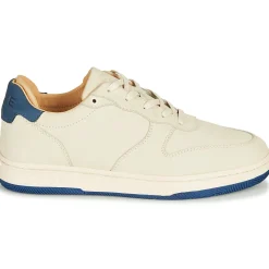 Online Clae - MALONE