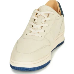 Online Clae - MALONE