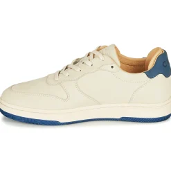 Online Clae - MALONE