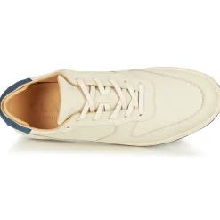 Online Clae - MALONE