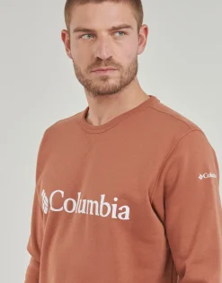 Hot Columbia - CSC Basic Logo II Hoodie Marron