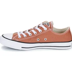 Converse - CHUCK TAYLOR ALL STAR Marron Discount
