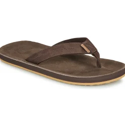 Online Cool shoe - RUGER Marron