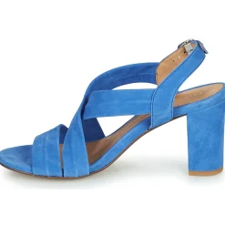 Cosmo Paris - VUKO-VEL Bleu Hot