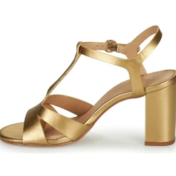 Online Cosmo Paris - ZOUM Doré