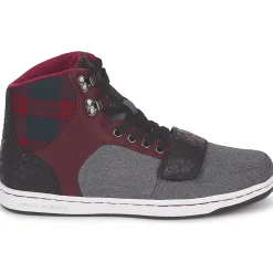 Creative Recreation - W CESARIO Online