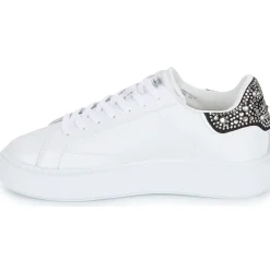 Outlet Crime London - NEW EXTRALIGHT