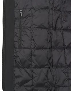 Hot 80DB Original - DIVA Noir