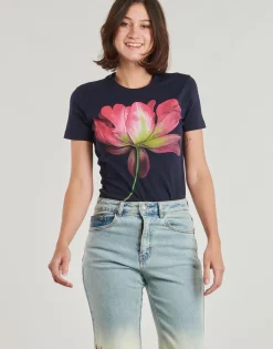 Desigual - PLATA Marine Sale