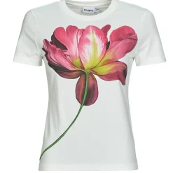 Discount Desigual - PLATA Blanc