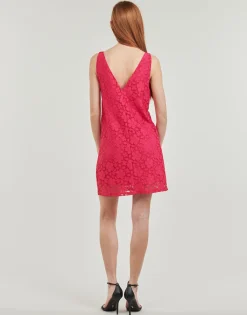 Clearance Desigual - VEST_LACE Rose