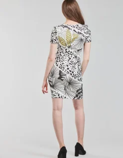 Outlet Desigual - WILD Multicolore