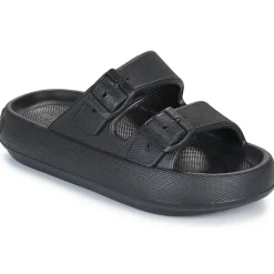 D.Franklin - 334 BLOOMER