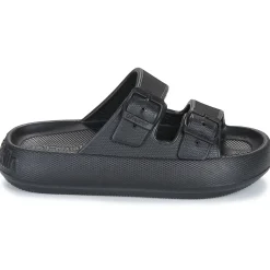 D.Franklin - 334 BLOOMER