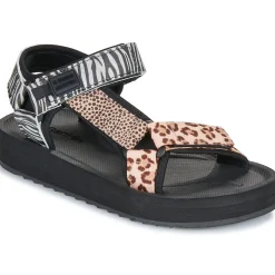 Outlet D.Franklin - 404 FOREST HIGH