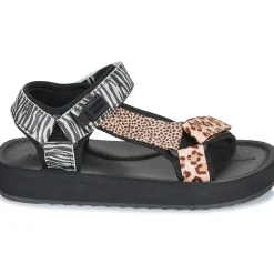 Outlet D.Franklin - 404 FOREST HIGH