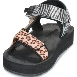 Outlet D.Franklin - 404 FOREST HIGH