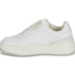 D.Franklin - COURT 321 Blanc Clearance