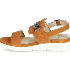 Dorking - 7863 Marron