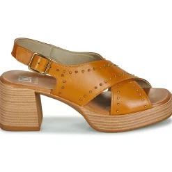 Dorking - DIAMOND Camel Online