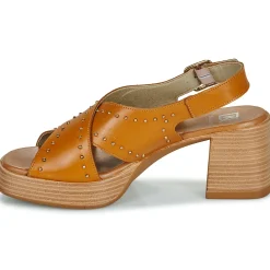 Dorking - DIAMOND Camel Online