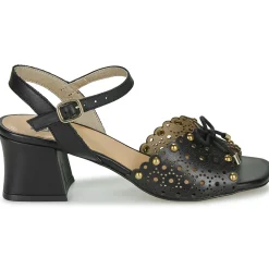 New Dorking - LARUS Noir