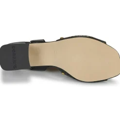 New Dorking - LARUS Noir