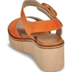 Dorking - NIDO Orange Hot