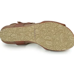 Dorking - PALMA Marron Best