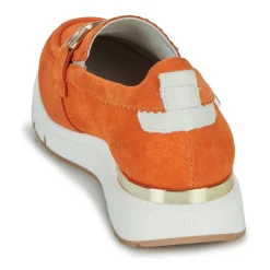 Dorking - SERENA Orange Best