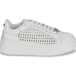 Dorking - SWIFT Blanc Sale