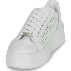 Dorking - SWIFT Blanc Sale