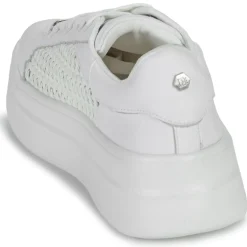 Dorking - SWIFT Blanc Sale